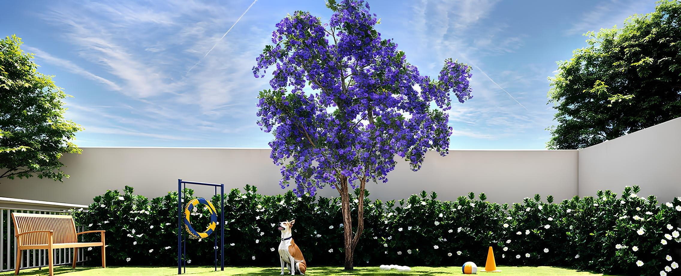 Oli Ipiranga - Residencial