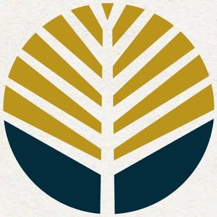 Liks Empreendimentos