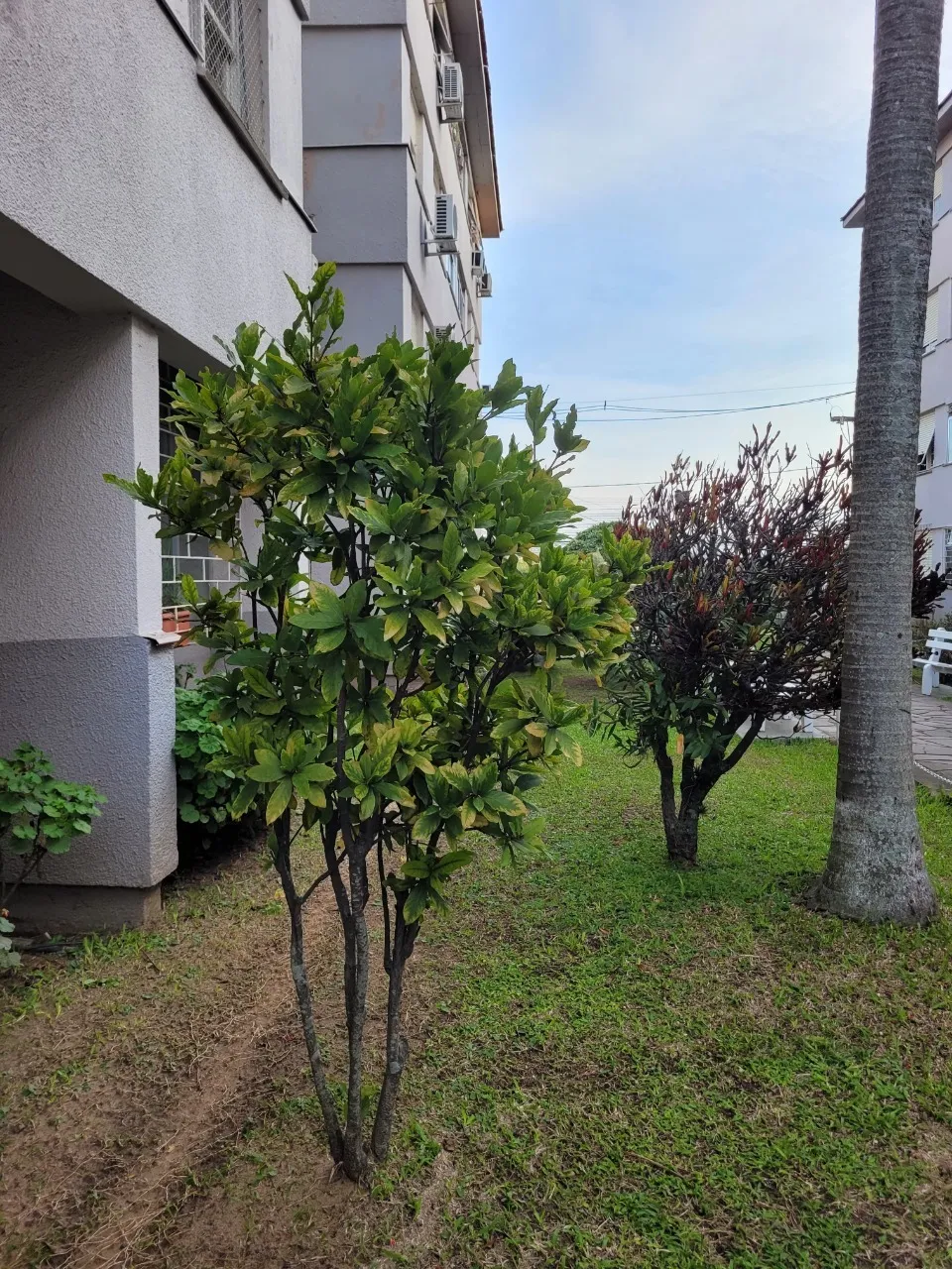 Rosicler Apto 32935 - Doorz Exclusividades Rosicler Apto 32935 - Doorz Exclusividades