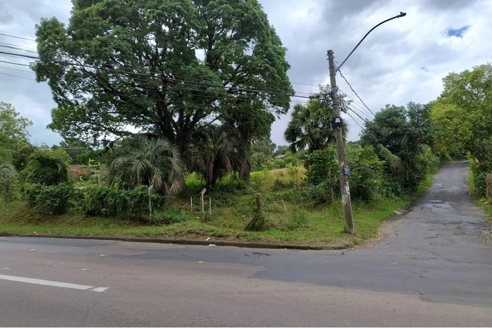 ADMDTM 1354 Lote 612481080-23 - REMAX Andar de Cima Exclusividades