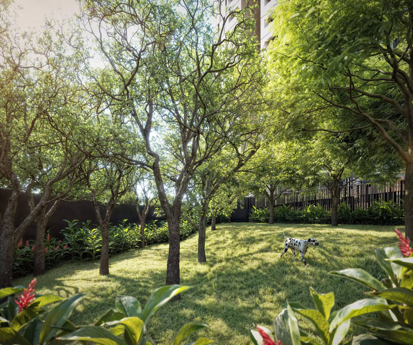 Capitolo by Piero Lissoni - Tegra SP