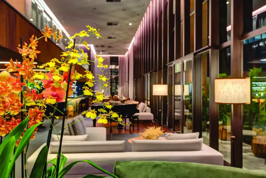 Qoya Hotel São Paulo - GIP Invest