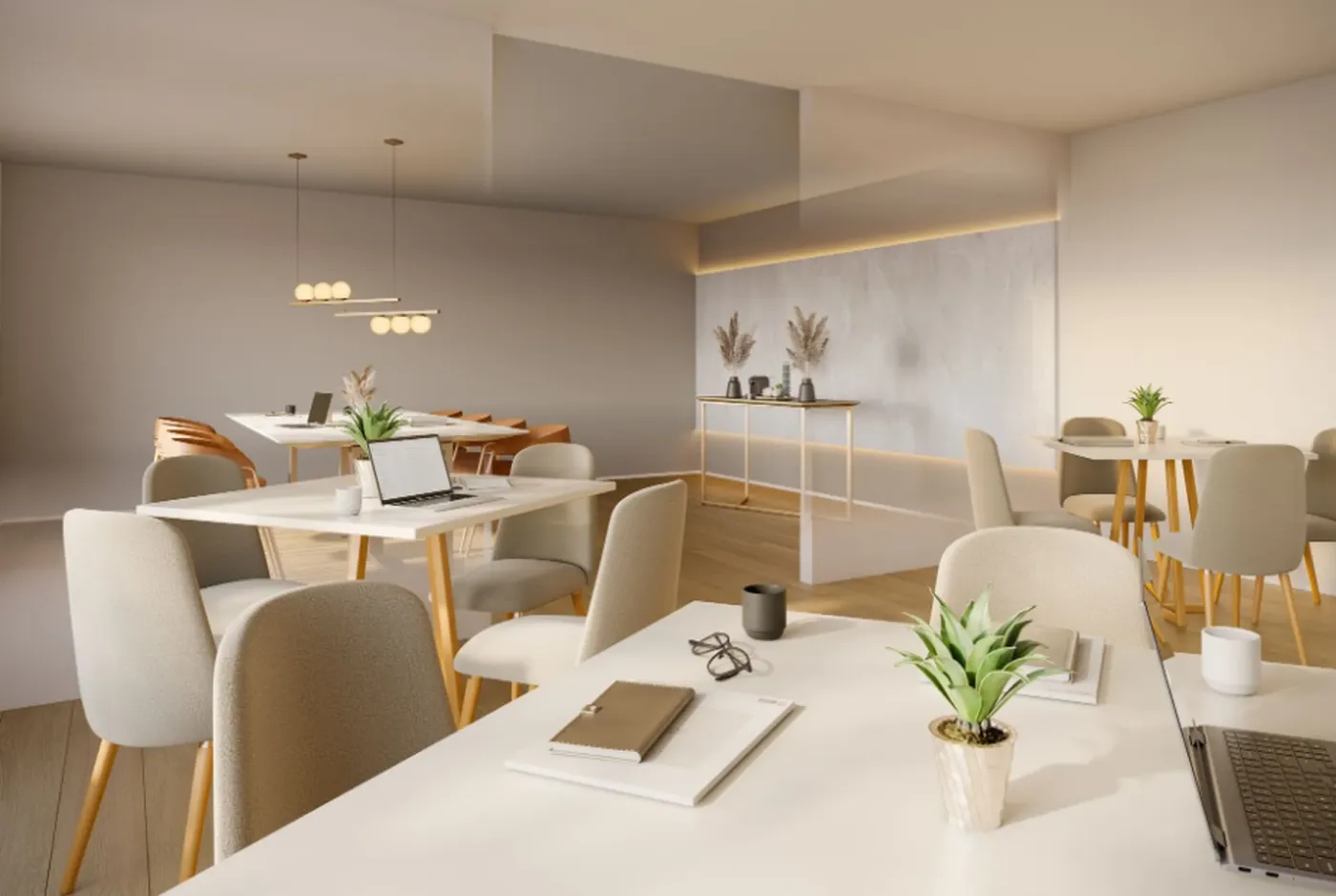 Vivaz Selection Laguna - Vivaz SP