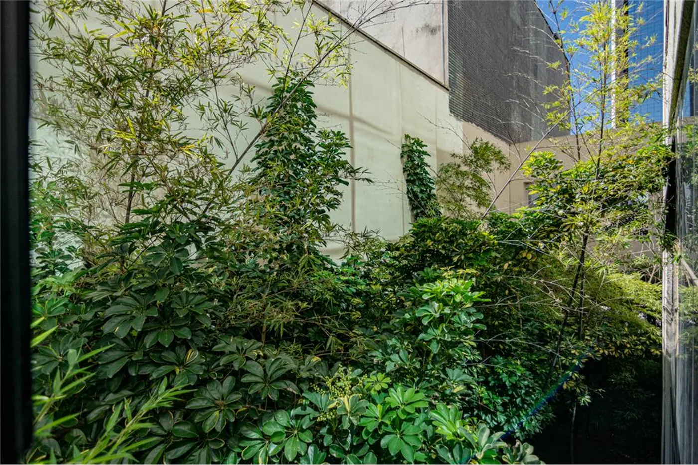 CA 1968 Sala 601081006-119 - REMAX Lepex Exclusividades