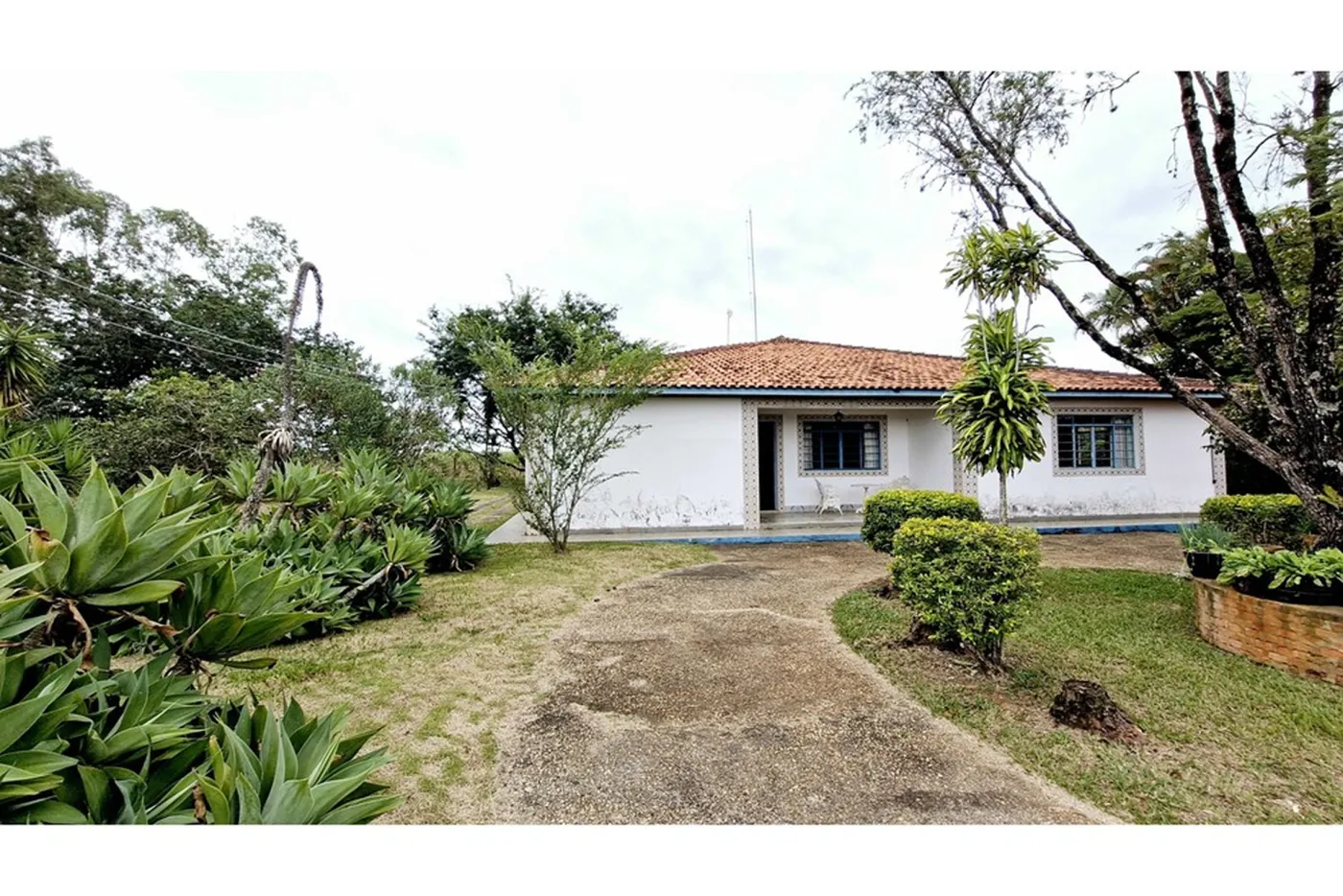 VVGMS 1000 602301007-5 - Remax Trinity Exclusividades VVGMS 1000 602301007-5 - Remax Trinity Exclusividades