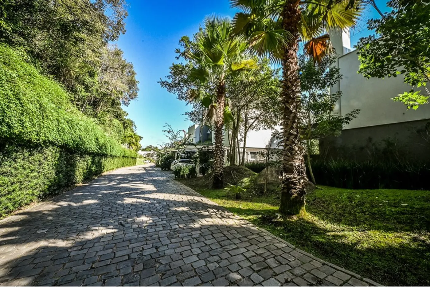 PRDNDCF 300 Casa 612481068-164 - REMAX Andar de Cima Exclusividades
