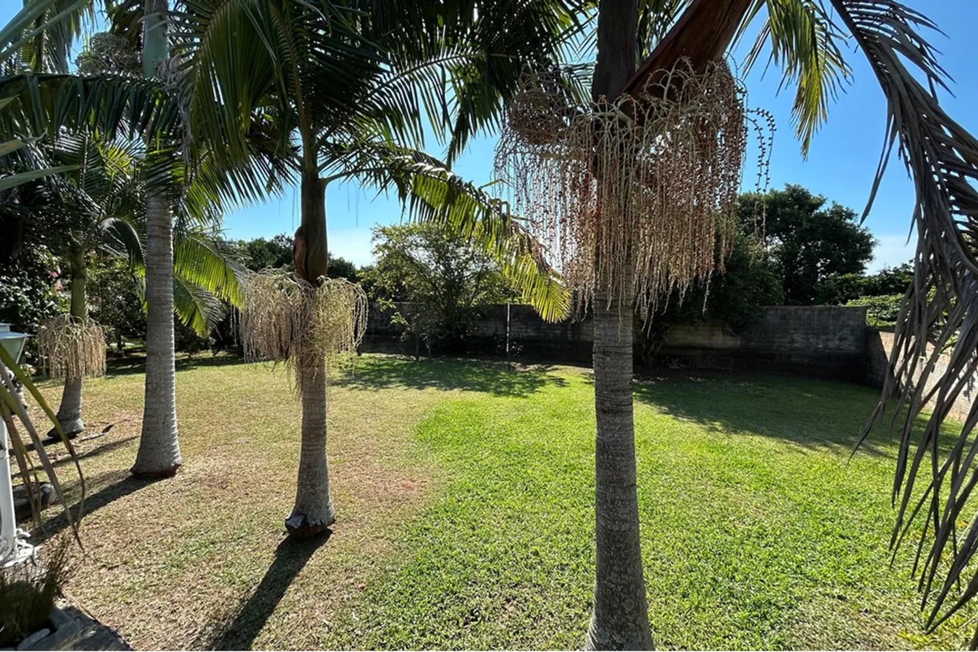 CES 70 Casa 612481060-13 - REMAX Andar de Cima Exclusividades