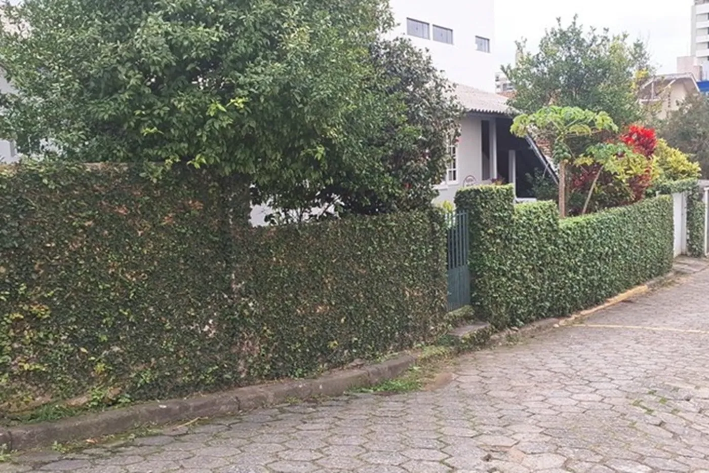 TLL 399 Lote 590441044-59 - REMAX Dream On II Exclusividades TLL 399 Lote 590441044-59 - REMAX Dream On II Exclusividades