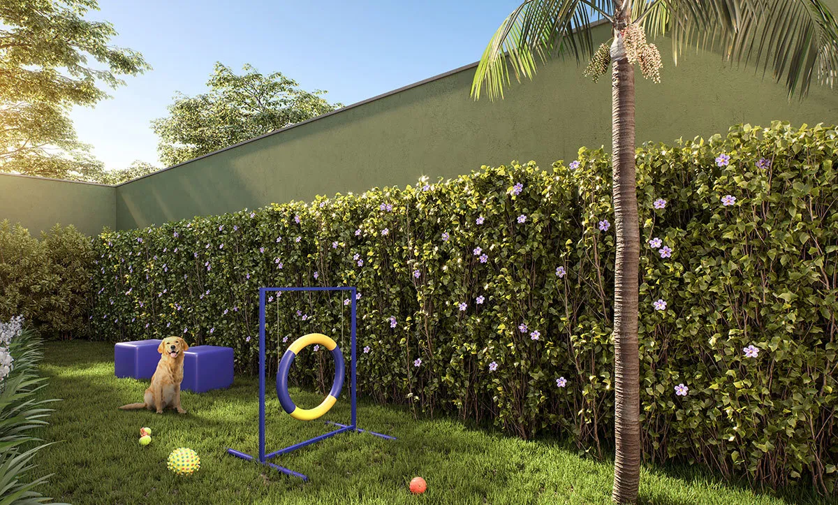 Raízes Tucuruvi Jacarandá - Mitre Realty