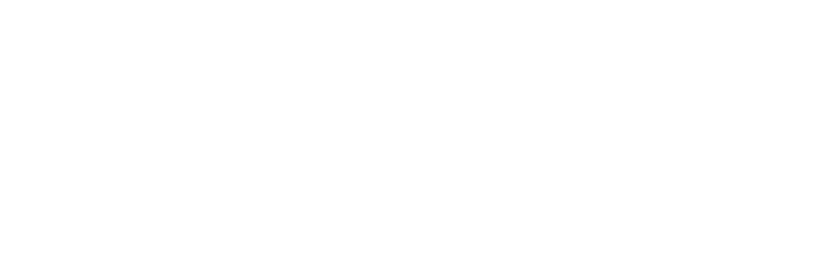 956313524e01510990ec013e11487393