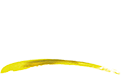 logo (18)