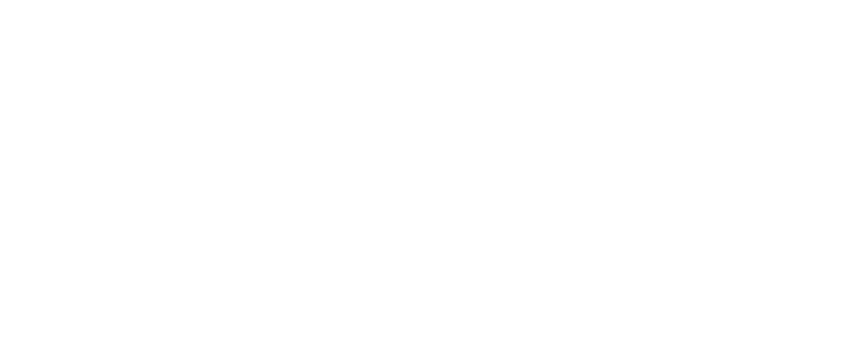 logo-vibra-w