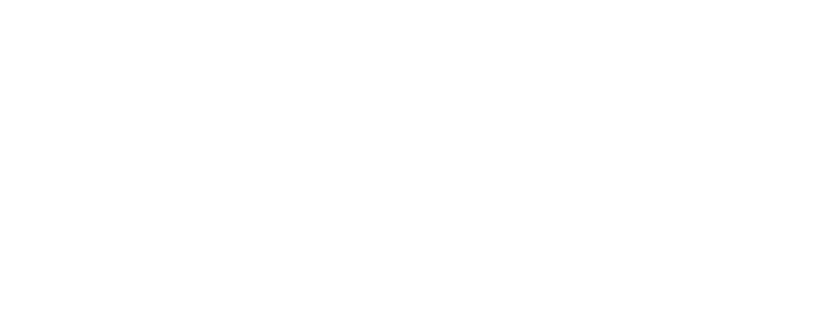 logo (8)