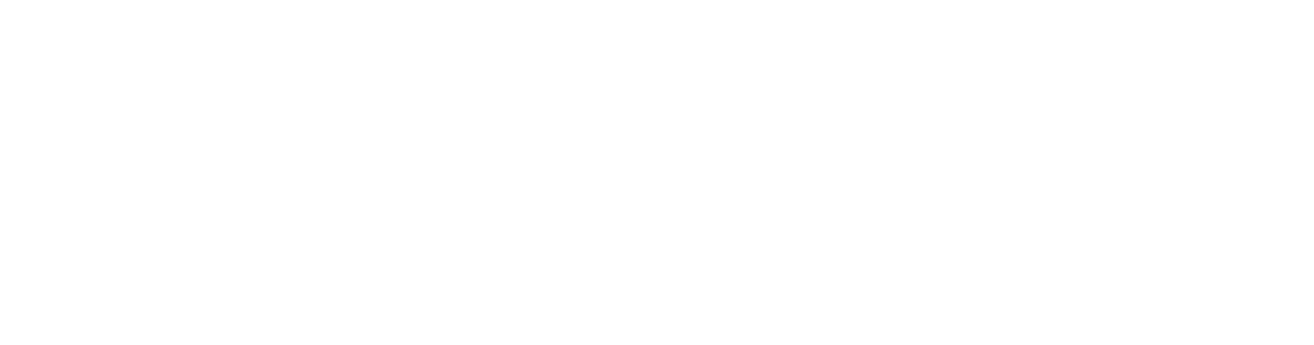logo_neg